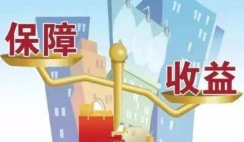消費(fèi)型保險(xiǎn)