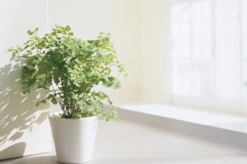 知乎評(píng)價(jià)的哪款老年防癌險(xiǎn)最好