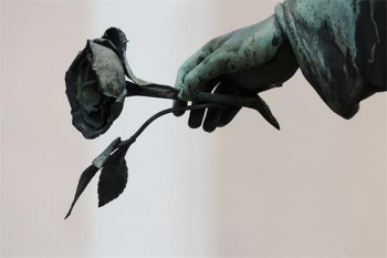 老人防癌險(xiǎn)