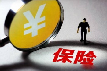 大白定期壽險(xiǎn)是哪個(gè)保險(xiǎn)公司