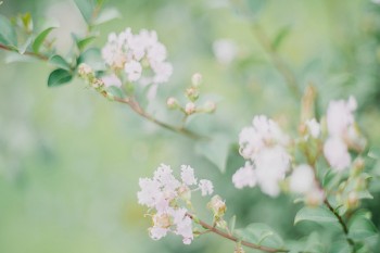 防癌重疾險(xiǎn)購買