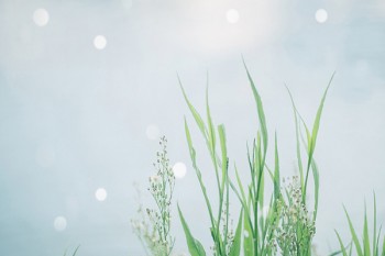 康愛一生終身防癌險
