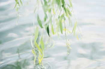 愛(ài)守護(hù)和國(guó)壽福哪個(gè)好