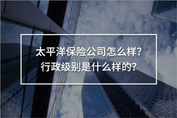 太平洋保險公司怎么樣