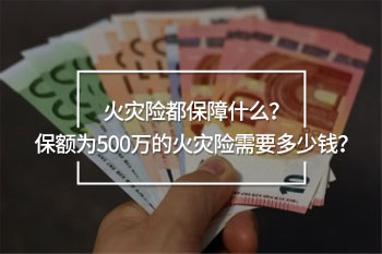保額為500萬的火災(zāi)險(xiǎn)需要多少錢