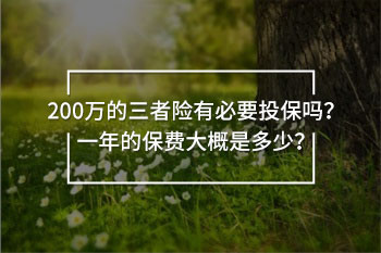 200萬的三者險(xiǎn)有必要投保嗎
