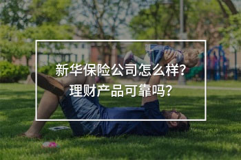 新華保險(xiǎn)公司理財(cái)產(chǎn)品