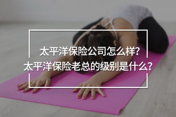 太平洋保險老總啥級別