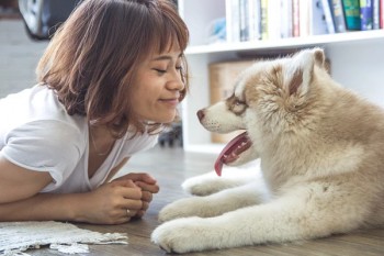 重疾與壽險的最大區(qū)別