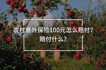 農村意外險100元一戶