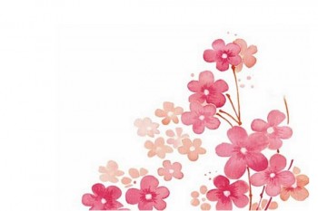 百萬醫(yī)療險的優(yōu)點