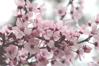 意外險(xiǎn)和壽險(xiǎn)