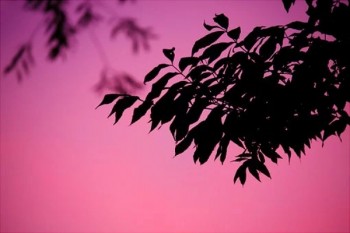 太平洋百萬意外險(xiǎn)價(jià)格