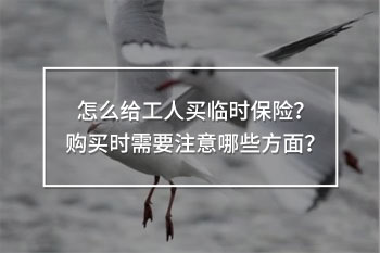 怎么給工人購買臨時保險