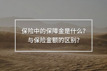 保險中的保障金是什么
