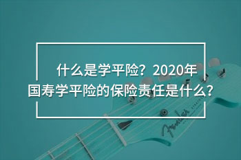 2020年國壽學平險保險責任