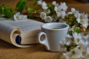 瑞華倍嘉樂保有哪些優(yōu)缺點(diǎn)