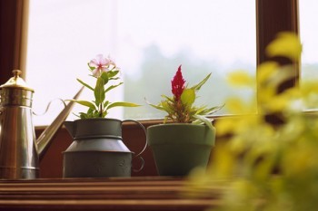 華夏福加倍版怎么樣