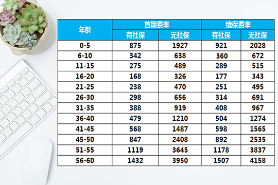 中國(guó)人壽百萬(wàn)醫(yī)療險(xiǎn)費(fèi)率表