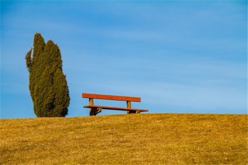 百萬醫(yī)療保險(xiǎn)沒有主險(xiǎn)