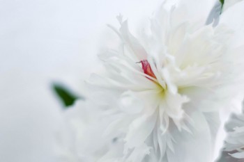 水滴百萬醫(yī)療險(xiǎn)