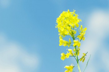 買了重疾險后悔死