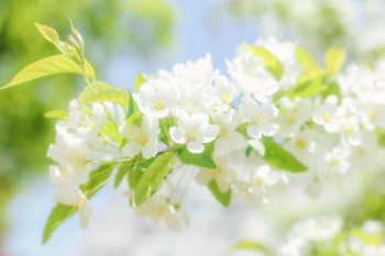 長(zhǎng)期醫(yī)療險(xiǎn)