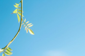 人人安康保險醫(yī)保范圍