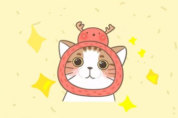 網(wǎng)上眾安百萬醫(yī)療保險可靠嗎