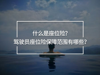 駕駛員座位險