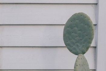 怎么給60歲以上老人買健康險(xiǎn)