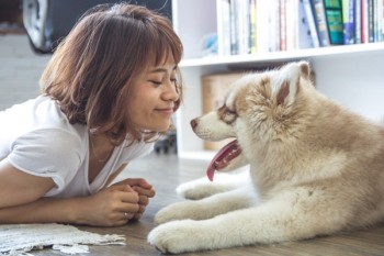 多大歲數(shù)就不給上意外險了