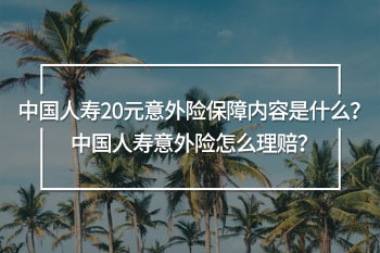 中國人壽20元意外險