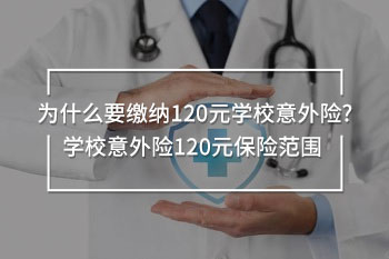 學(xué)校意外險120元保險范圍