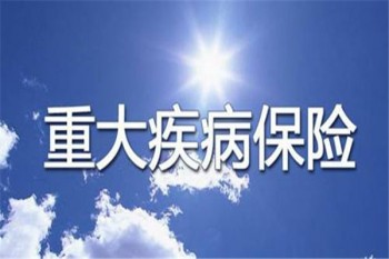 中國(guó)人壽重大疾病定期保險(xiǎn)條款