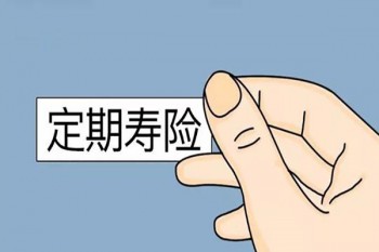 瑞泰人壽瑞和定期壽險(xiǎn)條款