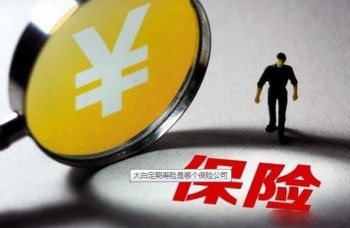大白定期壽險(xiǎn)