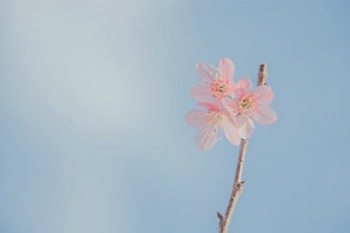 泰康人壽高端尊享醫(yī)療保險責(zé)任