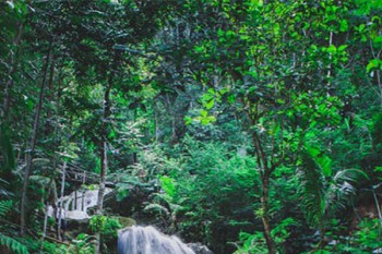 買(mǎi)旅游意外險(xiǎn)去哪家好