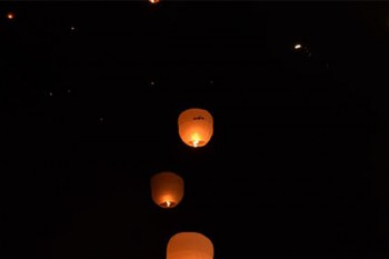 寶寶重大疾病保險條款