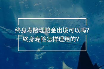 終身壽險(xiǎn)理賠金出境