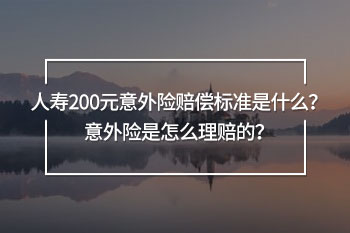 人壽200元意外險賠償標(biāo)準(zhǔn)