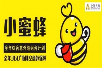小蜜蜂全年綜合意外保險有哪些優(yōu)缺點