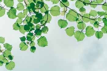 支付寶上的防癌險靠譜嗎