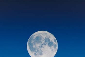 支付寶全民保定期壽險(xiǎn)可以退嗎   