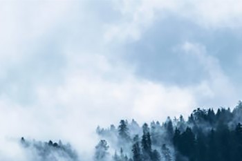 如e康悅百萬醫(yī)療a款可以單獨(dú)購買嗎