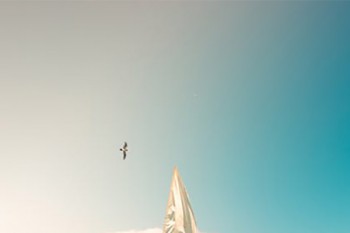 終身壽險(xiǎn)理賠后百年后還能退嗎