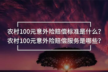 農村100元意外險賠償標準