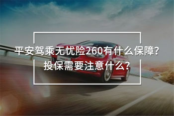 平安駕乘無憂險260詳細