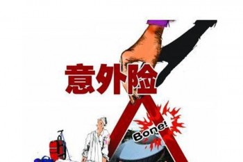 平安成人意外險極致版多少錢